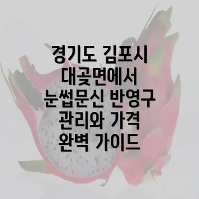 경기도 김포시 대곶면에서 눈썹문신 반영구 관리와 가격 완벽 가이드