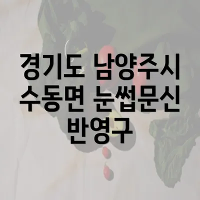 경기도 남양주시 수동면 눈썹문신 선택 가이드