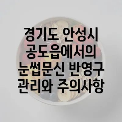 경기도 안성시 공도읍에서의 눈썹문신 반영구화장 관리방법