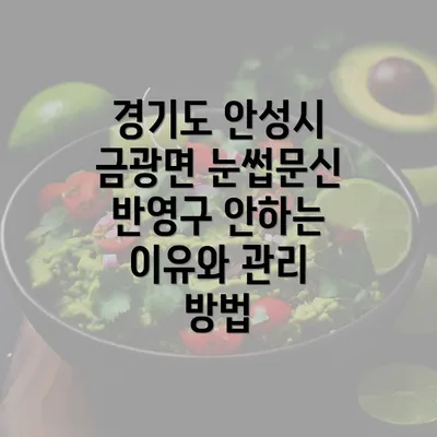 경기도 안성시 금광면 눈썹문신 반영구 안하는 이유와 관리 방법