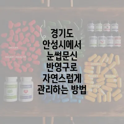 경기도 안성시에서 눈썹문신 반영구로 자연스럽게 관리하는 방법