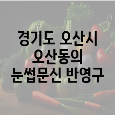 경기도 오산시 오산동의 눈썹문신 반영구