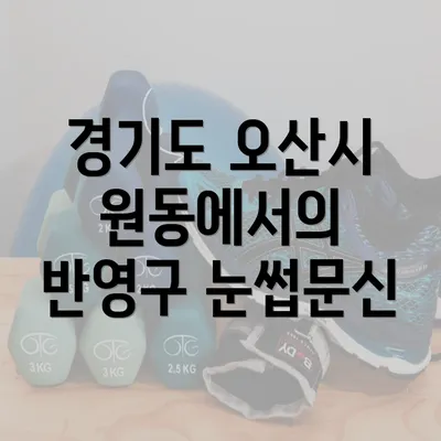 경기도 오산시 원동에서의 반영구 눈썹문신