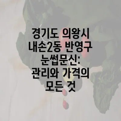 경기도 의왕시 내손2동 반영구 눈썹문신: 관리와 가격의 모든 것