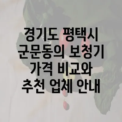 경기도 평택시 군문동의 보청기 가격 비교와 추천 업체 안내