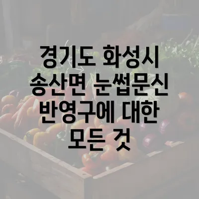 경기도 화성시 송산면 눈썹문신 반영구에 대한 모든 것