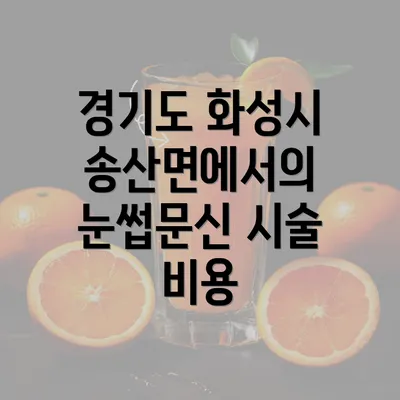 경기도 화성시 송산면에서의 눈썹문신 시술 비용