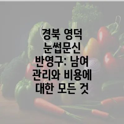 경북 영덕 눈썹문신 반영구: 남여 관리와 비용에 대한 모든 것