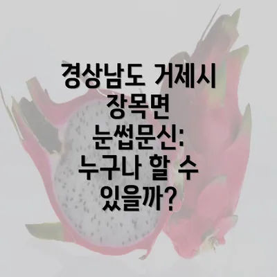 경상남도 거제시 장목면 눈썹문신: 누구나 할 수 있을까?