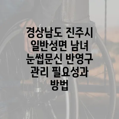 경상남도 진주시 일반성면 남녀 눈썹문신 반영구 관리 필요성과 방법