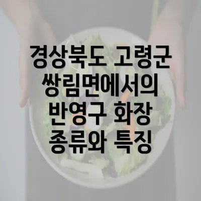 경상북도 고령군 쌍림면에서의 반영구 화장 종류와 특징