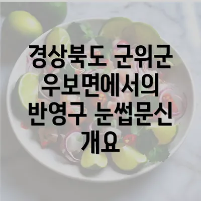 경상북도 군위군 우보면에서의 반영구 눈썹문신