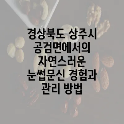 경상북도 상주시 공검면에서의 자연스러운 눈썹문신 경험과 관리 방법