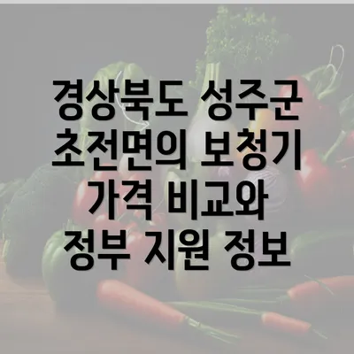 경상북도 성주군 초전면의 보청기 가격 비교와 정부 지원 정보