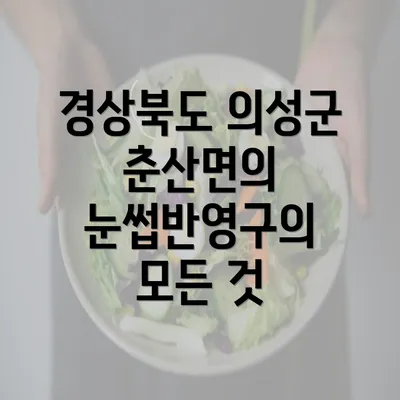 경상북도 의성군 춘산면의 눈썹반영구의 모든 것