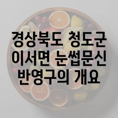 경상북도 청도군 이서면 눈썹문신 반영구의 개요