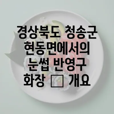 경상북도 청송군 현동면에서의 눈썹 반영구 화장 – 개요