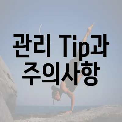 관리 Tip과 주의사항