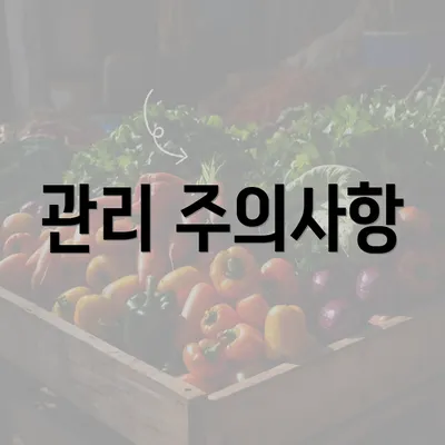 관리 주의사항