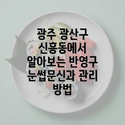 광주 광산구 신흥동에서 알아보는 반영구 눈썹문신과 관리 방법