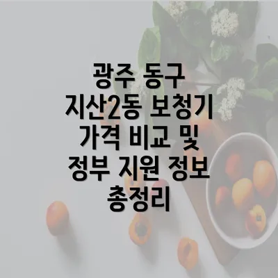 광주 동구 지산2동 보청기 가격 비교 및 정부 지원 정보 총정리