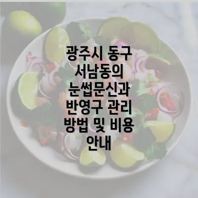 광주시 동구 서남동의 눈썹문신과 반영구 관리 방법 및 비용 안내