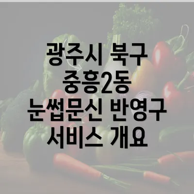 광주시 북구 중흥2동 눈썹문신 반영구 서비스 개요