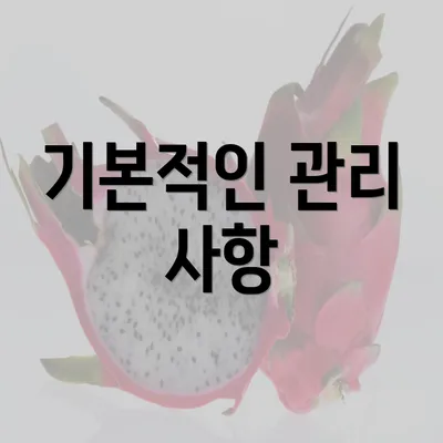 기본적인 관리 사항