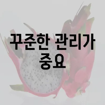 꾸준한 관리가 중요