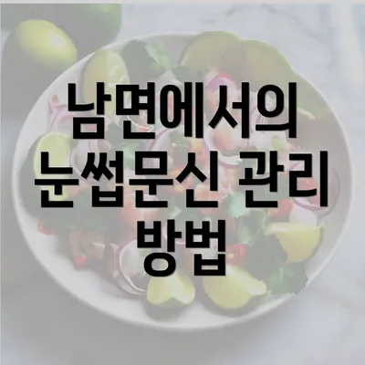 남면에서의 눈썹문신 관리 방법