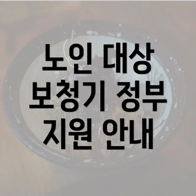 노인 대상 보청기 정부 지원 안내