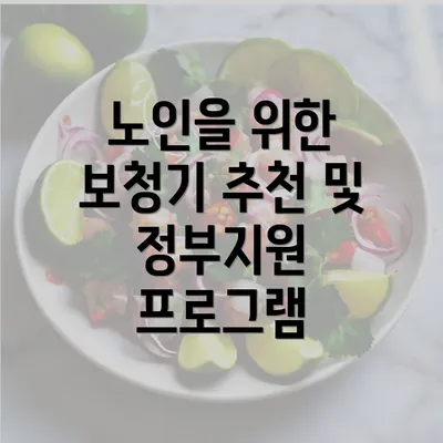 노인을 위한 보청기 추천 및 정부지원 프로그램