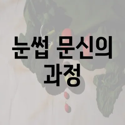 눈썹 문신의 과정