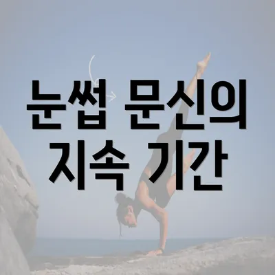 눈썹 문신의 지속 기간