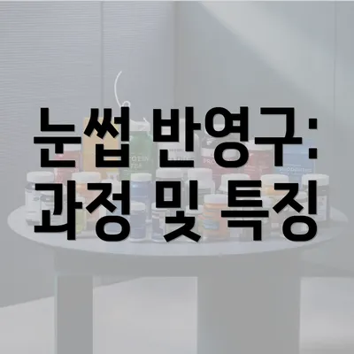 눈썹 반영구: 과정 및 특징