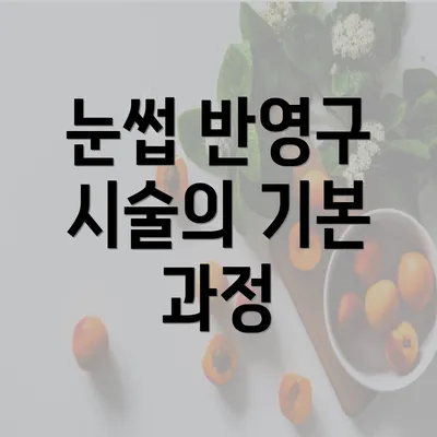 눈썹 반영구 시술의 기본 과정