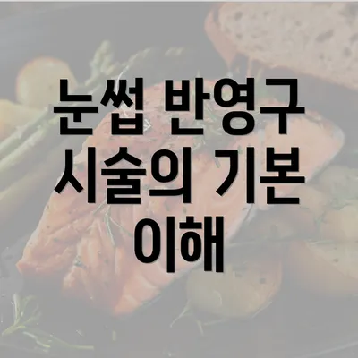 눈썹 반영구 시술의 기본 이해