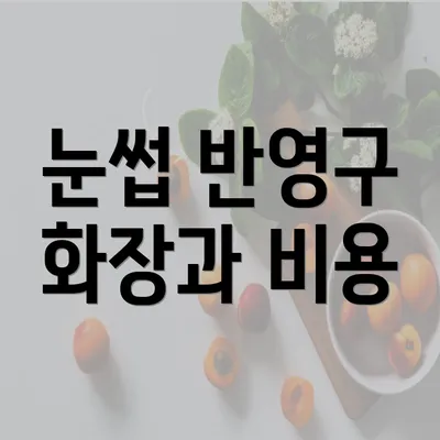 눈썹 반영구 화장과 비용