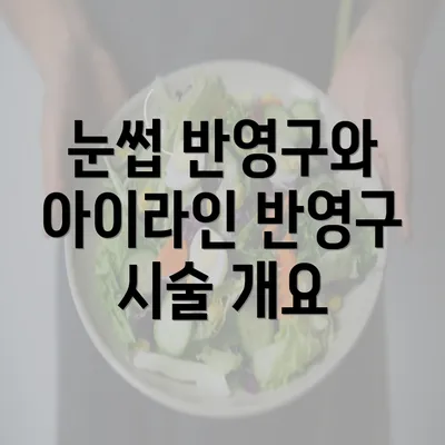 눈썹 반영구와 아이라인 반영구 시술 개요