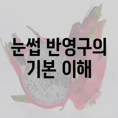 눈썹 반영구의 기본 이해