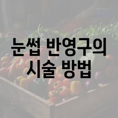 눈썹 반영구의 시술 방법