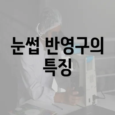 눈썹 반영구의 특징