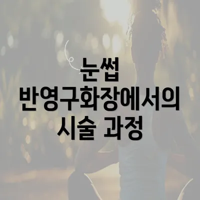 눈썹 반영구화장에서의 시술 과정