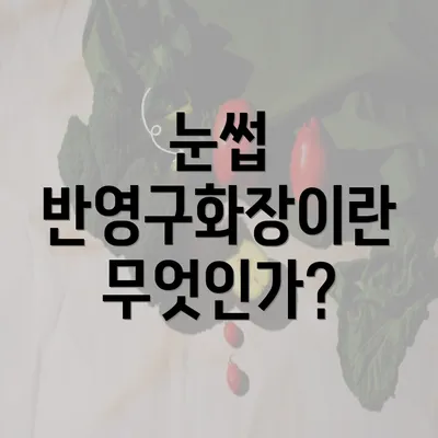 눈썹 반영구화장이란 무엇인가?