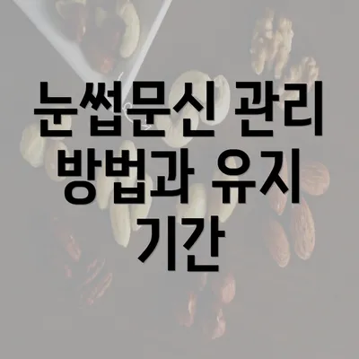 눈썹문신 관리 방법과 유지 기간