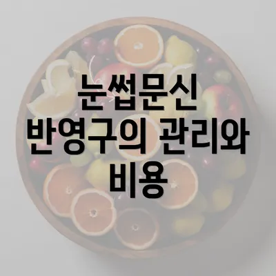 눈썹문신 반영구의 관리와 비용