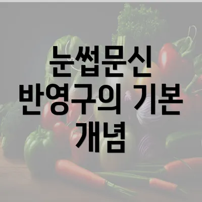 눈썹문신 반영구의 기본 개념