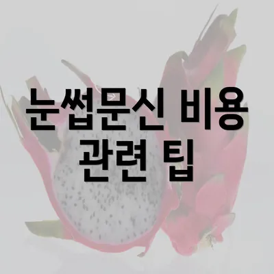 눈썹문신 비용 관련 팁