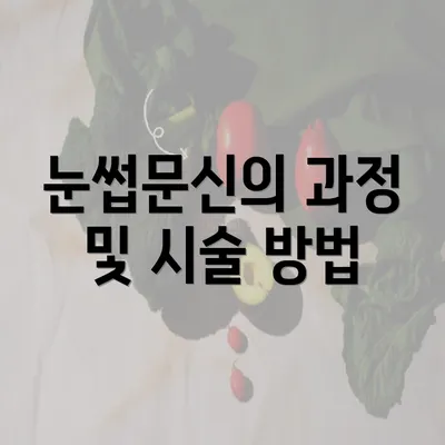 눈썹문신의 과정 및 시술 방법