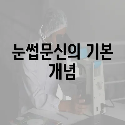 눈썹문신의 기본 개념